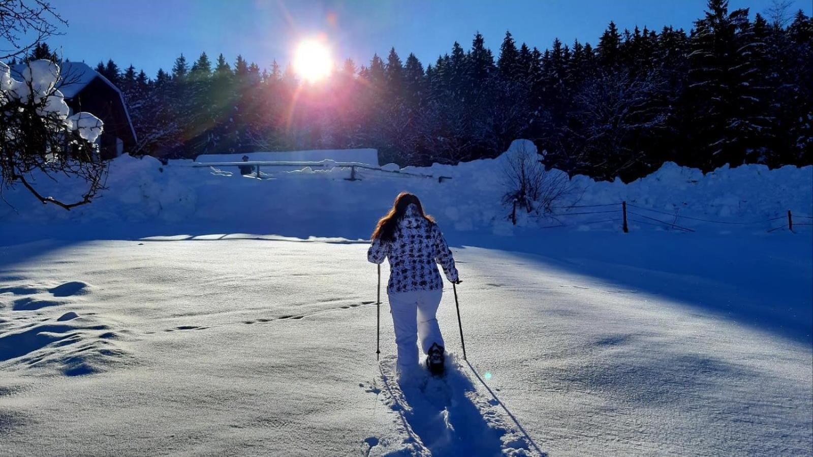 Kantor Village Am Millstaetter See - Boutique-Chalets Und Lodges Millstatt Εξωτερικό φωτογραφία