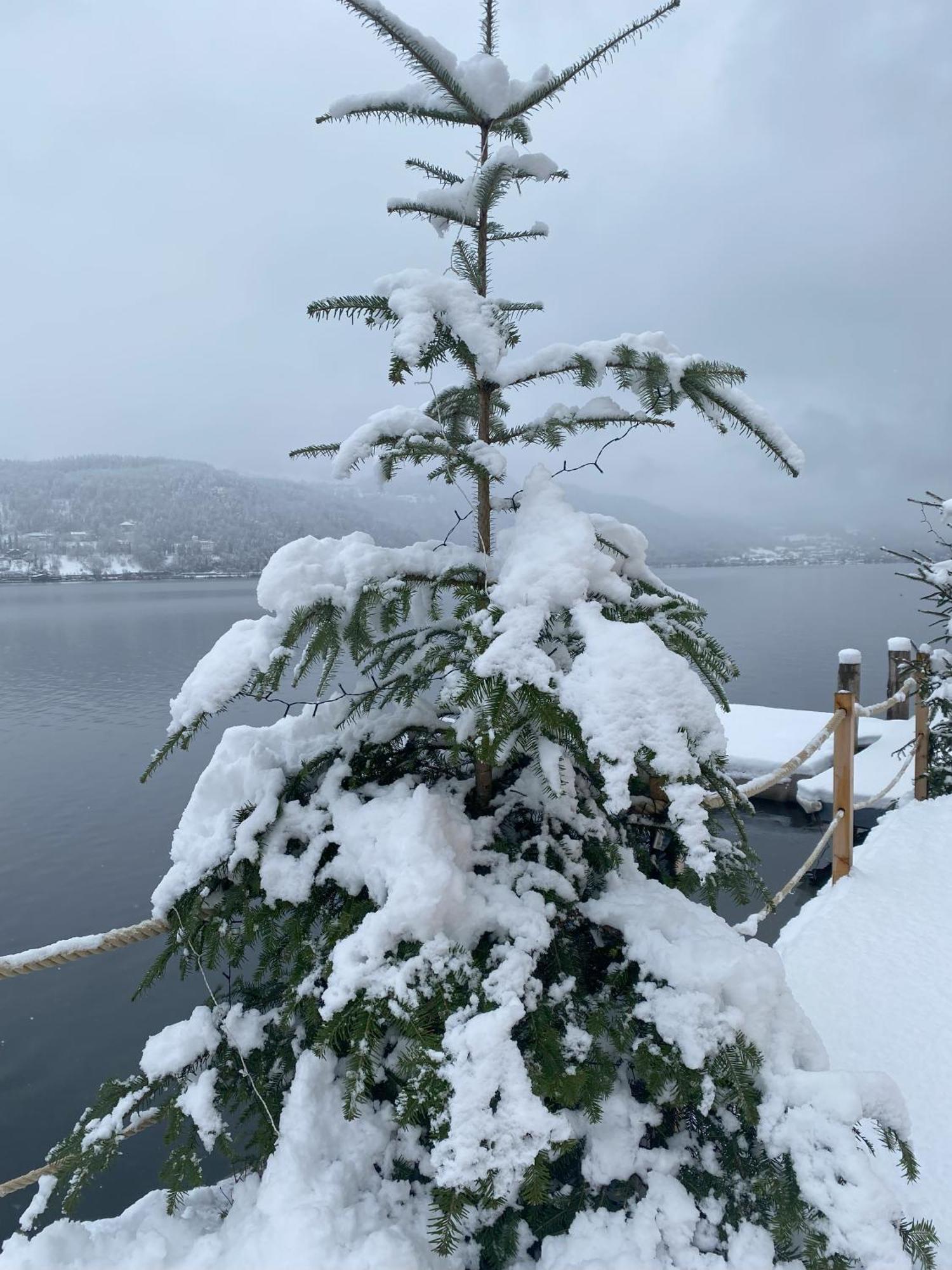 Kantor Village Am Millstaetter See - Boutique-Chalets Und Lodges Millstatt Εξωτερικό φωτογραφία